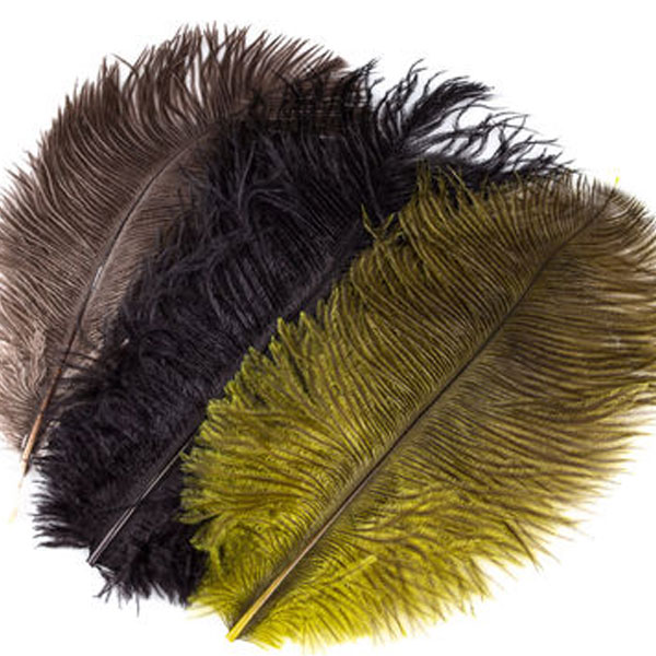 Ostrich Plumes - Click Image to Close